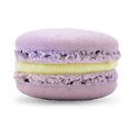 Lavendel