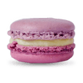 Lavendel-Blaubeere