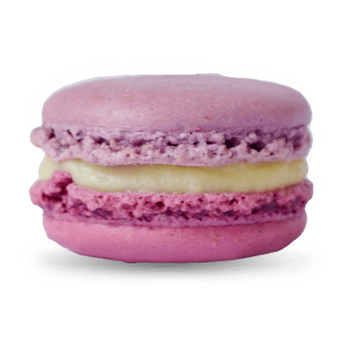Lavendel-Blaubeere