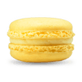 Zitrone